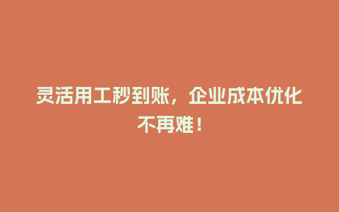 灵活用工秒到账，企业成本优化不再难！