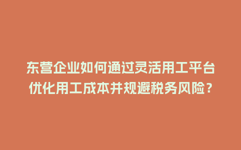 东营企业如何通过灵活用工平台优化用工成本并规避税务风险？