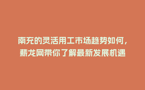 南充的灵活用工市场趋势如何，薪龙网带你了解最新发展机遇