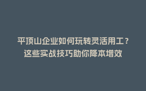平顶山企业如何玩转灵活用工？这些实战技巧助你降本增效