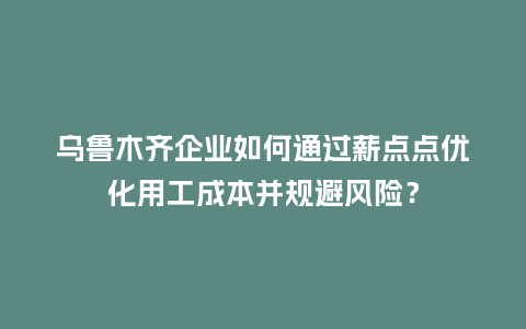乌鲁木齐企业如何通过薪点点优化用工成本并规避风险？