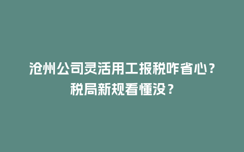 沧州公司灵活用工报税咋省心？税局新规看懂没？
