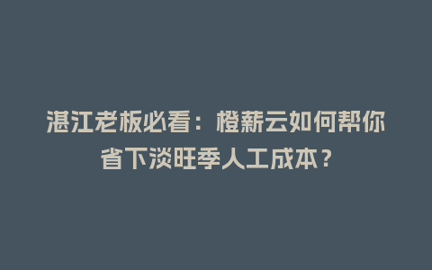 湛江老板必看:橙薪云如何帮你省下淡旺季人工成本?插图 湛江老板必看:橙薪云如何帮你省下淡旺季人工成本?插图