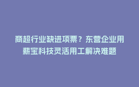 商超行业缺进项票？东营企业用薪宝科技灵活用工解决难题