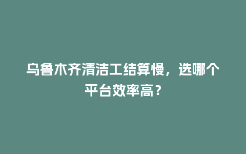 乌鲁木齐清洁工结算慢，选哪个平台效率高？