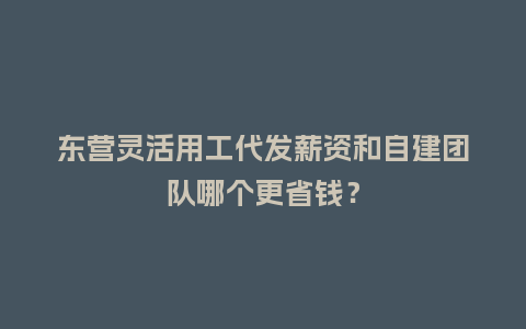 东营灵活用工代发薪资和自建团队哪个更省钱？