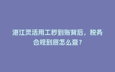 湛江灵活用工秒到账背后，税务合规到底怎么查？