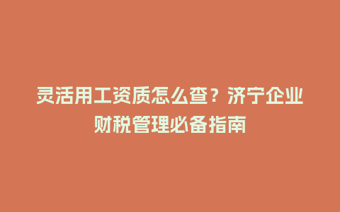 灵活用工资质怎么查?济宁企业财税管理必备指南插图 灵活用工资质怎么查?济宁企业财税管理必备指南插图